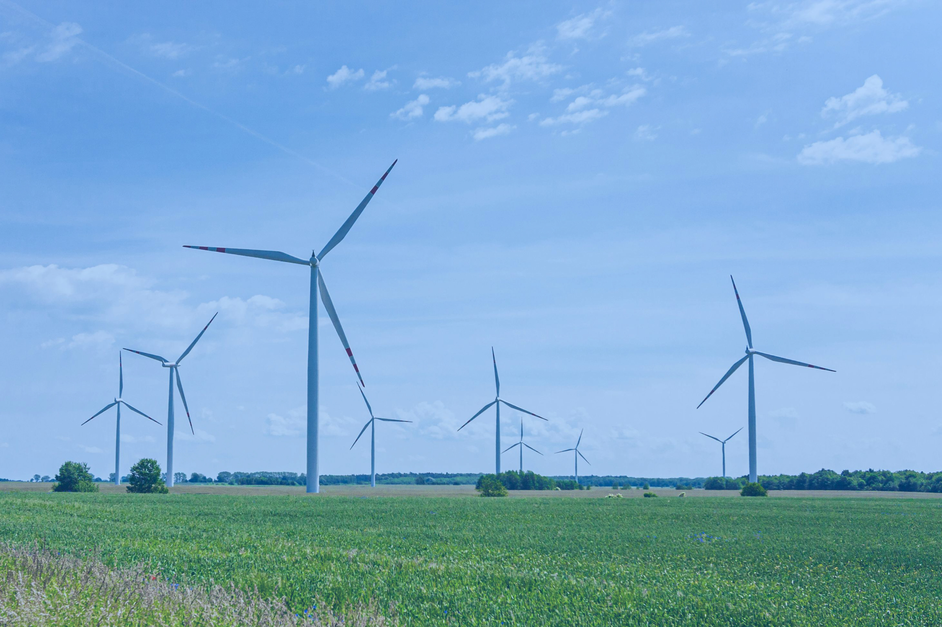 Ногоон бизнесийн зээл