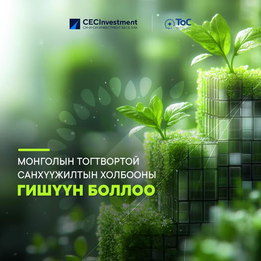 CEC INVESTMENT 