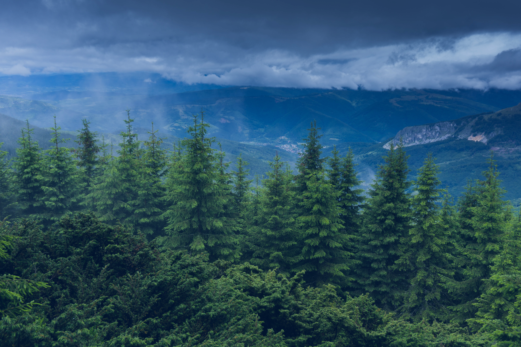 Ногоон зээл