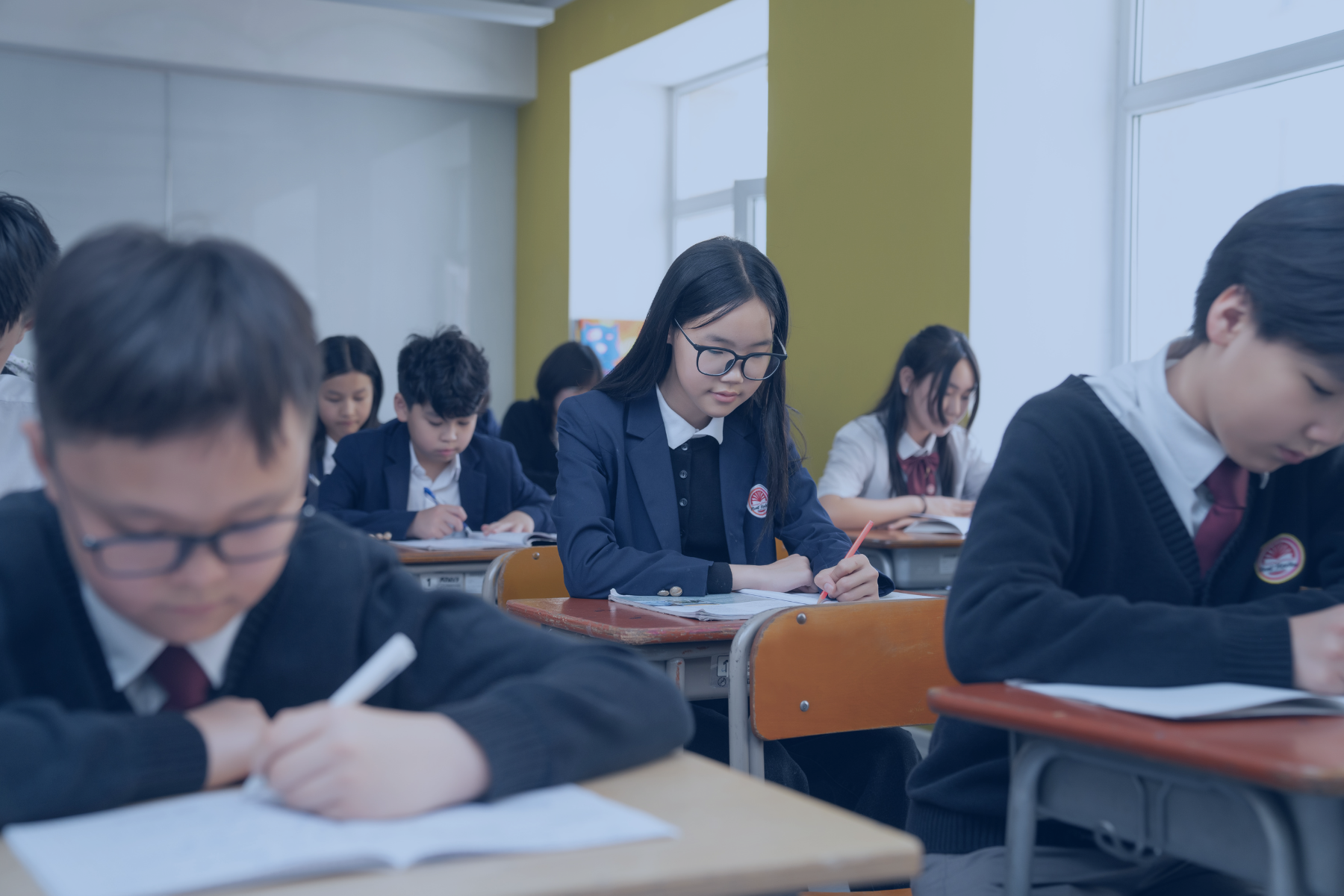 Сургалтын төлбөрийн зээл