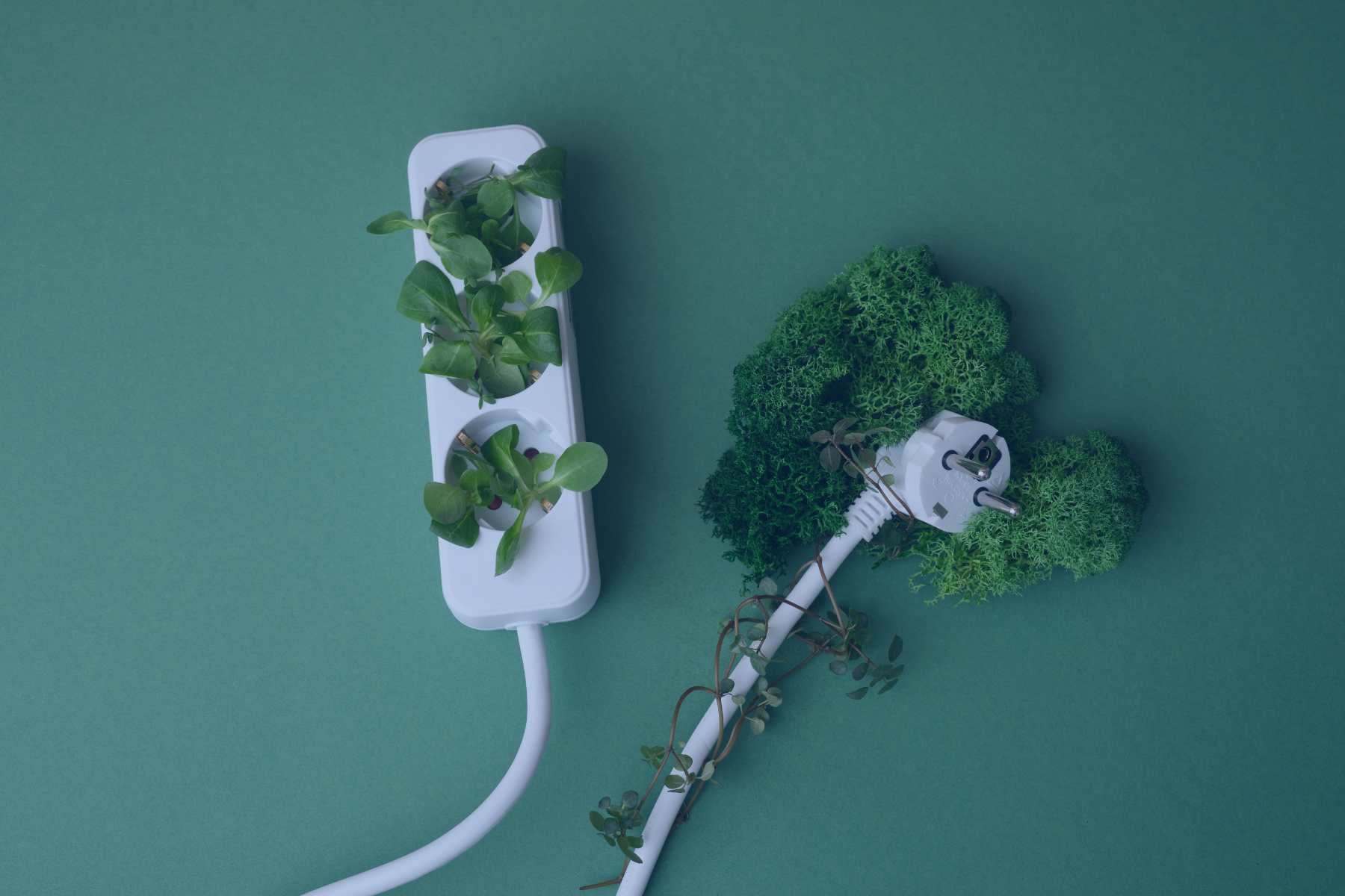 Ногоон хэрэглээний бүтээгдэхүүн худалдан авах зээл